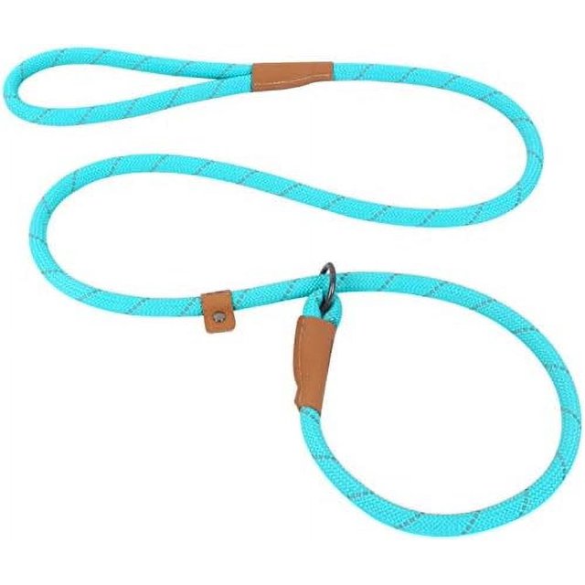 Slip Lead Dog Leash, Reflective Mountain Climbing Rope Leash, Dog Training Leash – 5FT, 2 Sizes (Medium, Turquoise) Turquoise Medium Turquoise Medium Turquoise Medium