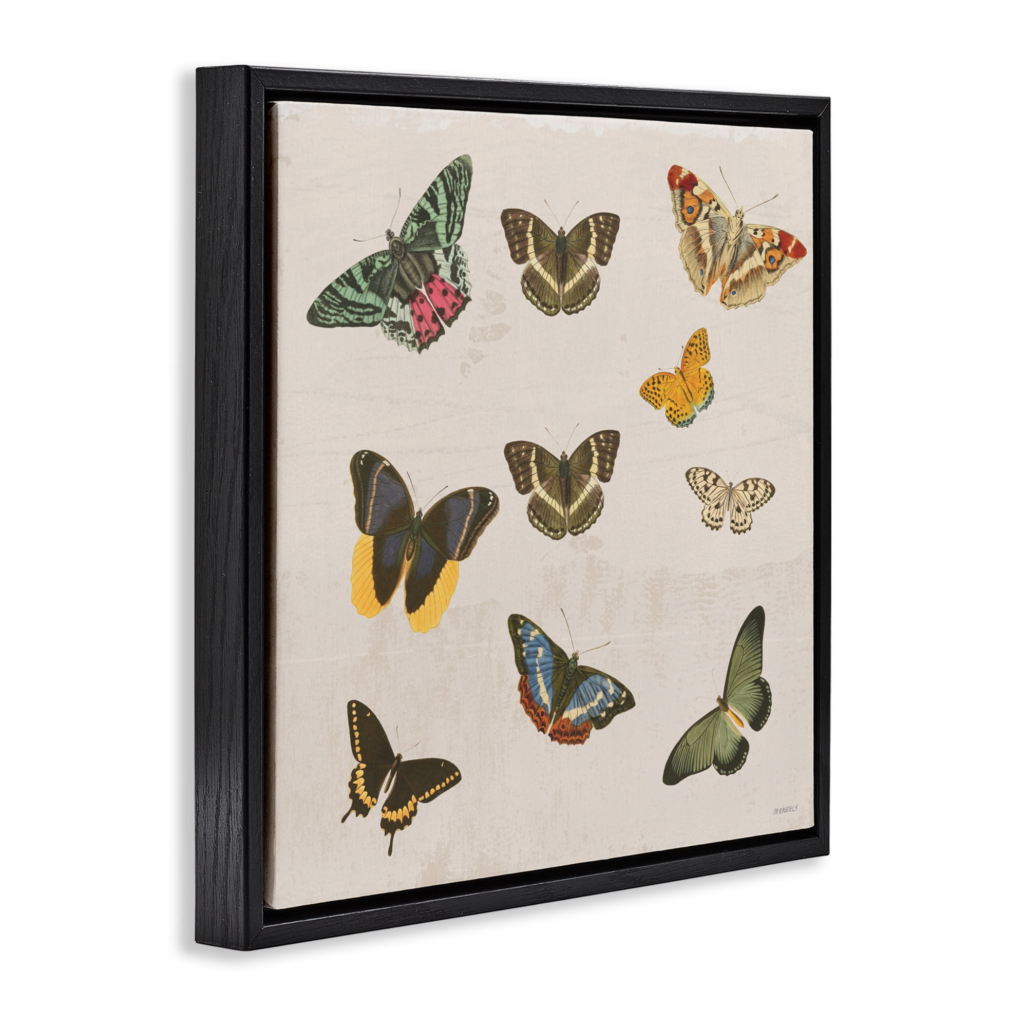 Stupell Industries Antique Butterfly Flight Black Framed Floater Canvas Wall Art, design by Dan Meneely