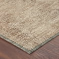 thumbnail image 3 of Addison Rugs Chantille Indoor/Outdoor Traditional Global Salmon Machine Washable Rectangle Rug, 8' x 10', 3 of 8