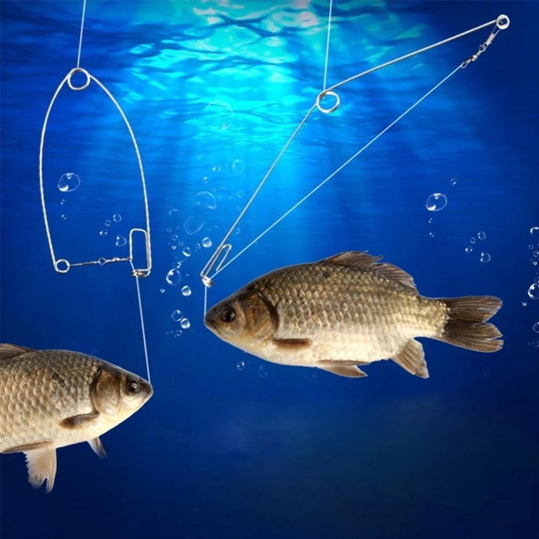 Fish Hoo Rope Fishing Hook Under Water