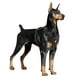 thumbnail image 5 of Arnés para perros Chaleco ligero de malla ajustable reflectante para perros pequeños, medianos y gr Abanopi Cuerda de tracción, 5 of 7