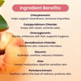 thumbnail image 6 of Peach Scented and Unflavored Daily Wipes, 6 of 8