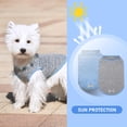 thumbnail image 4 of KYEESE 2 Pack Dog Shirts, Quick Dry Soft T-Shirt for Small Medium and Large Dogs, Light Blue+Grey, XL, 4 of 8