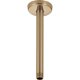thumbnail image 1 of Delta Faucet U4999-CZ Brazo de ducha y brida Bronce champán, 1 of 1