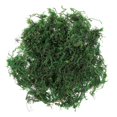 thumbnail image 2 of Artificial Green Moss 1 Pack Terrarium Gardening Centerpieces 5.11X3.54X1.18 In Beautiful Decorative Moss For Indoor Decoration Projects, 2 of 2