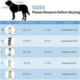 Pet Essentials,Soft Mesh Dog Harness And Leash Set For Walking Summer