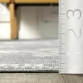 thumbnail image 4 of nuLOOM Evalyn Southwestern Machine Washable Area Rug, 4' x 6', Grey, 4 of 10