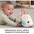 thumbnail image 3 of Juguete para recién nacidos Fisher-Price Planet Friends Tummy Time Rhino, 3 of 6
