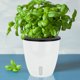 thumbnail image 4 of Maceta para interior y exterior, resistente al sol, para plantas suculentas (M) Likrtyny Libre de BPA, 4 of 8