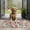 Pioneer Flower Floral-3, variant on Pioneer Flower Floral Print Pattern Door Rugs,Washable Non Slip Door Mats Indoor,Decorative Door Mats,Entry Mat Indoor for Entrance,Bedroom,Kitchen,Bathroom,20"x32"