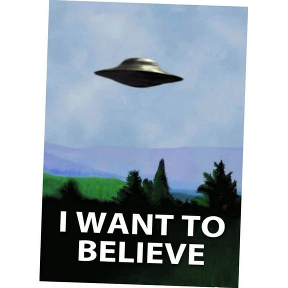 I Want To Believe x Files Poster 16in x 24in 16x24 Multi-Color Square Adults Poster Time