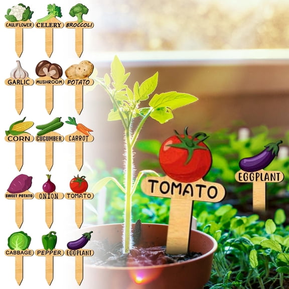 Upgraded 15PC Wooden Vegetable Plant Label SimpleCartoon Vegetable Pattern With Name P