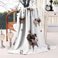 thumbnail image 2 of Pug and Footprint Blanket,Comfortable Soft Lamb Wool Throw Blanket,All Season,Warm Lightweight Blankets for Sofa Bed Couch Living Room Chair,40"x50", 2 of 4
