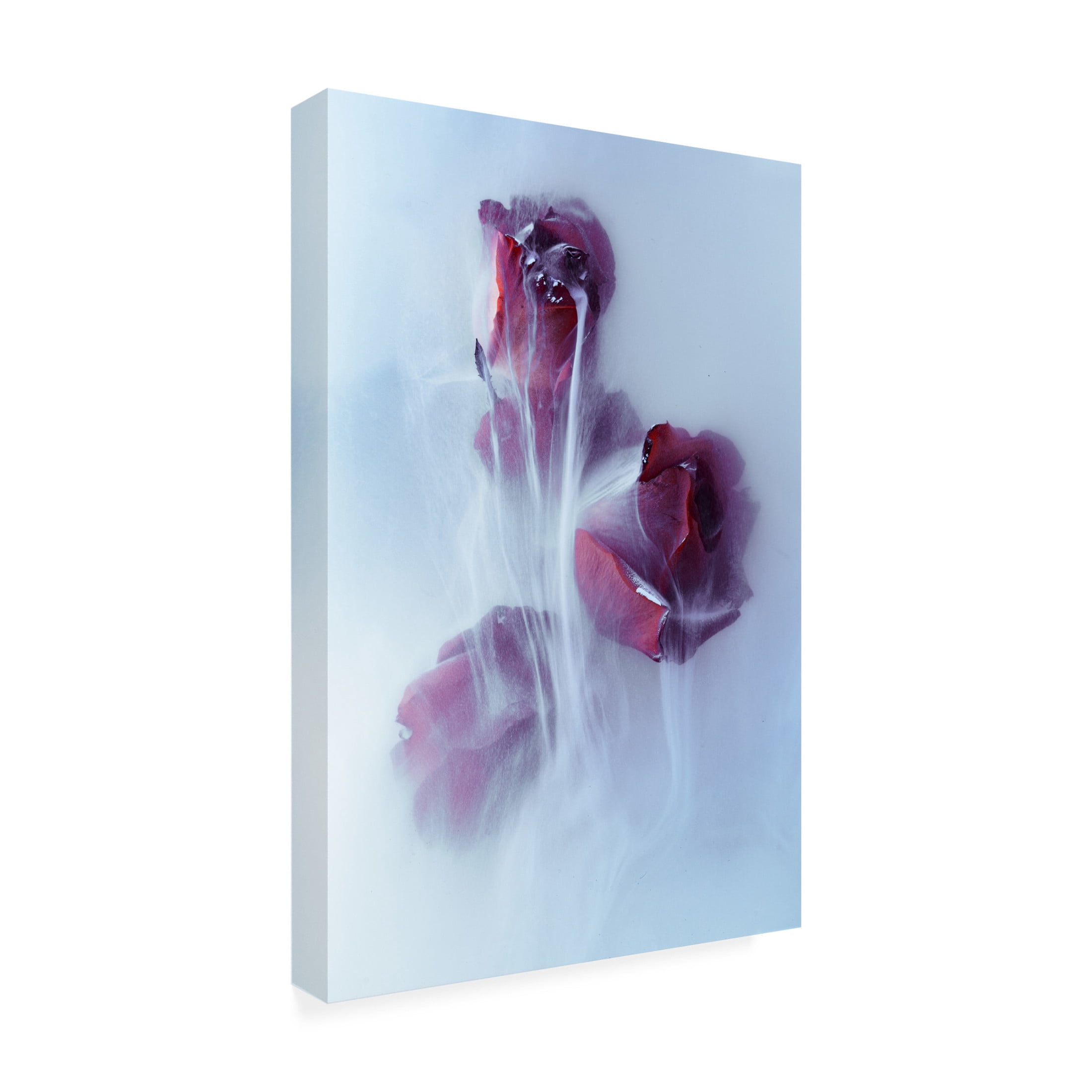 Trademark Fine Art Franz Luxemburger Timeless Canvas Wall Art