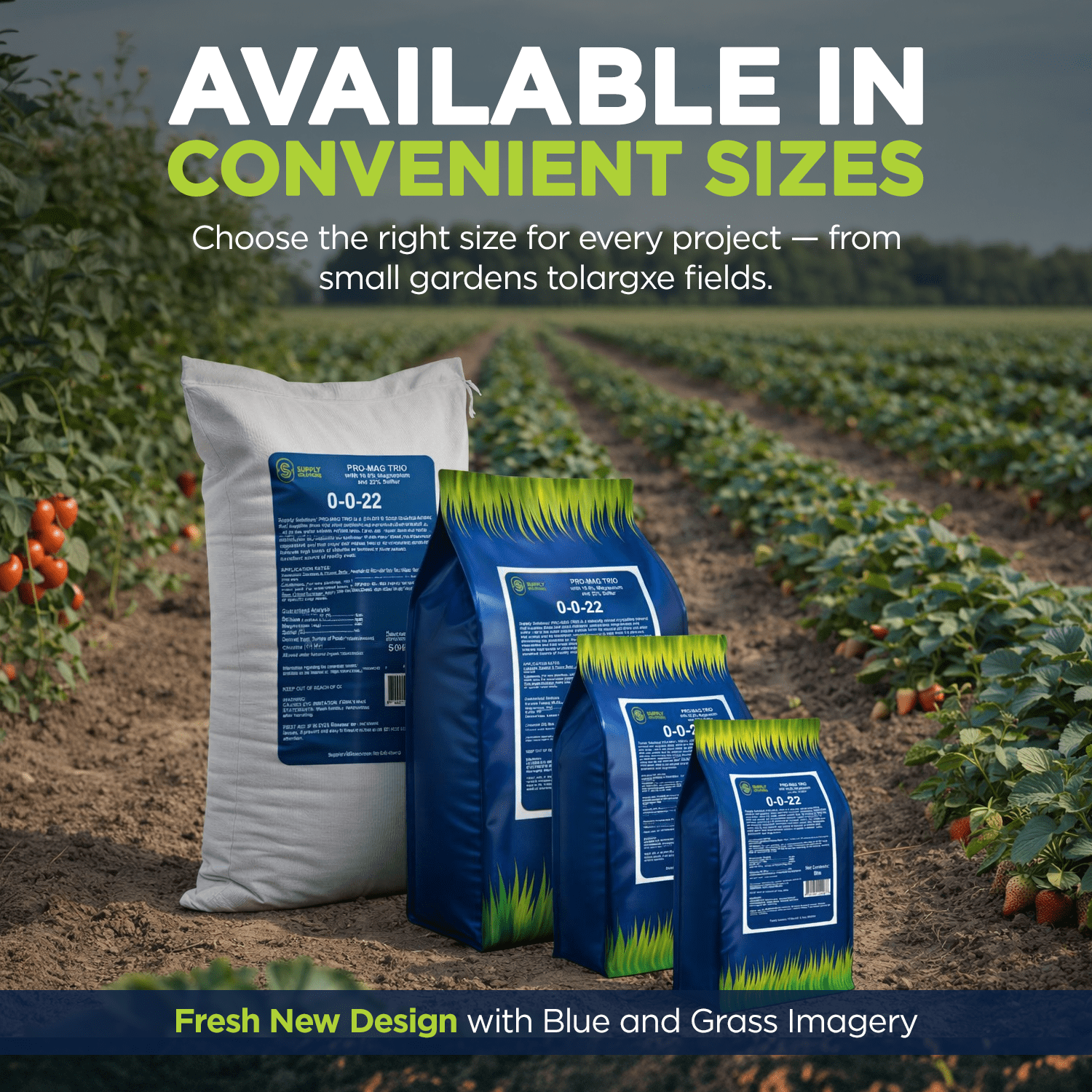 Supply Solutions | 0-0-22 Pro-Mag Trio - High Potassium, Magnesium & Sulfur Fertilizer for Lawns, Turf, Palm & Fruit Trees - Water-Soluble Plant Food for Stronger Growth & Higher Yields - 10lbs