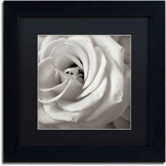 Trademark Fine Art "Florison 43" Canvas Art by Alan Blaustein, Black Matte, Black Frame