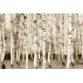 thumbnail image 2 of Greene, Taylor 18x13 Gold Ornate Wood Framed with Double Matting Museum Art Print Titled - Sepia Timber, 2 of 4