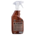 thumbnail image 3 of Limpiador Para Madera Master Wood 650 Ml Spray, 3 of 3