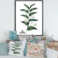 thumbnail image 2 of Designart 'Little White Flowers With Ancient Plant' Farmhouse Framed Canvas Wall Art Print, 2 of 5