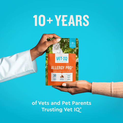 Vet IQ Allergy Pro+ Health Supplement for Cats, Chicken Flavored Crunchy Chews, Approx. 30 Day Supply