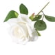 thumbnail image 4 of Ruifaya Rosas falsas, flores artificiales a granel, rosas de seda realistas con blanco falso, 4 of 7