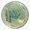 1pcs, variant on Scientific Biology Lab Salmonella Isolation Streak Cultivation Bacteria Petri Dish Chart Decal Sticker