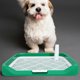 thumbnail image 4 of BESTYASH Sanitaria Para Perro Interior En Plástico Para Ambientes Limpios Y Ordenados, 4 of 8
