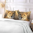 thumbnail image 6 of Coolnut Cute Little Leopard Body Pillow Cover with Zipper, Soft and Cozy Fuzzy Fleece Body Pillow Case Cover 21 x 54 in, Plush Long Body Pillow Pillowcase for Fall and Winter Home Decor Gifts, 6 of 7