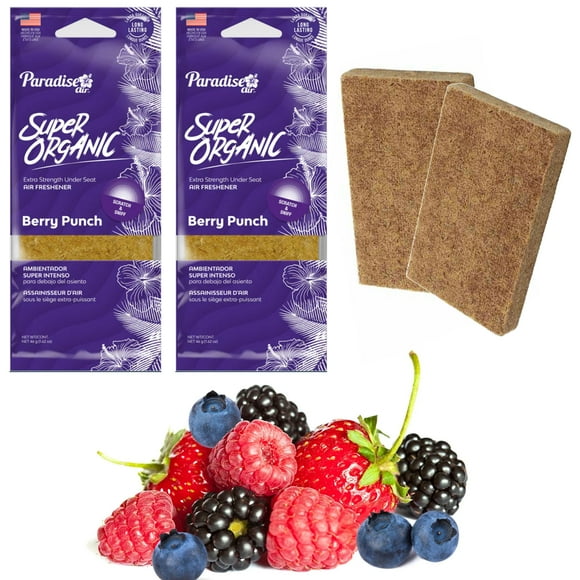 Air Freshener Blocks