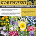 thumbnail image 5 of Willard & May Northwest All Perennial Wildflower Seed Mix, Cool Climate Flowers for Full Sun, Pollinator Friendly, Easy Grow Bulk Seeds (1/4 Pound), 5 of 5