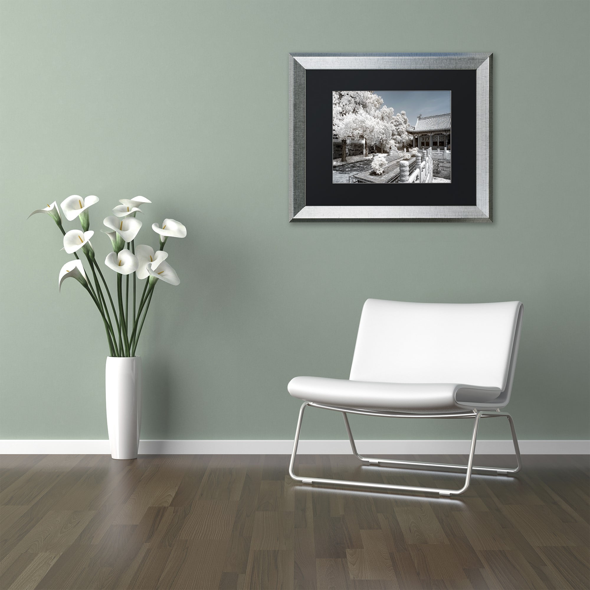 Trademark Fine Art "Reflection" Canvas Art by Philippe Hugonnard, Black Matte, Silver Frame