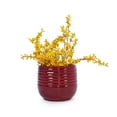 thumbnail image 3 of Noble House Brandon Ceramic Flowerpot Set, Glossy Floral Design for Patio or Garden, Set of 3, Bean Paste Red, 3 of 9