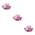 thumbnail image 2 of Guardoinrt Interactive Crystal Growing Experiment Science Kit for Kids Conduct Crystals Red 175x125x60mm 3Set, 2 of 6