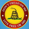 thumbnail image 3 of CafePress - DTOM Gadsden Flag (Logo) T Shirt - Women's Traditional Fit Dark T-Shirt, 3 of 4