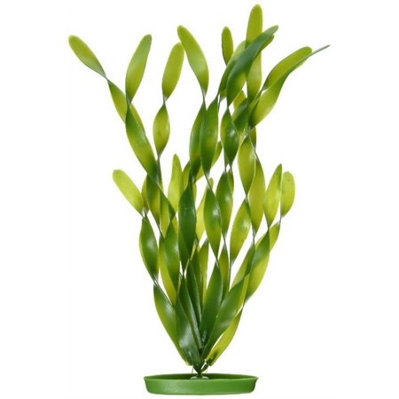 UPC: 0080605112148 | Marina Jungle Val 12  Tall