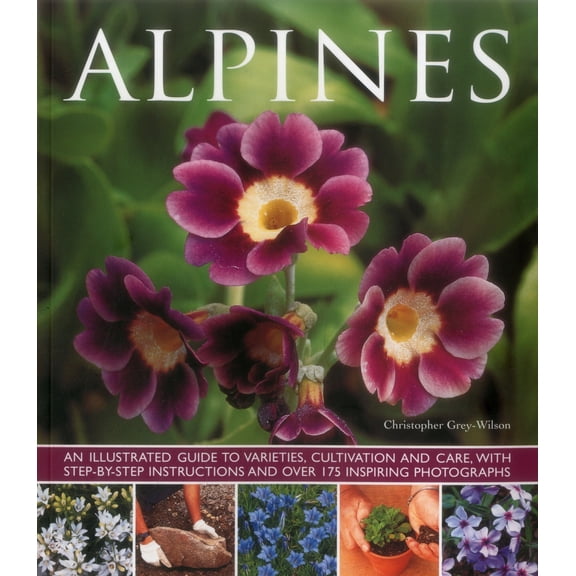 Pre-Owned Alpines: An Illustrated Guide to Varieties, Cultivation and Care, with Step-By-Step Instructions and Over 175 Inspiring Photogr (Paperback) 1780193661 9781780193663