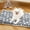 Gray XL, variant on Self-Warming Pet Bed Mat – Soft, plush cushion for dogs and cats, machine washable