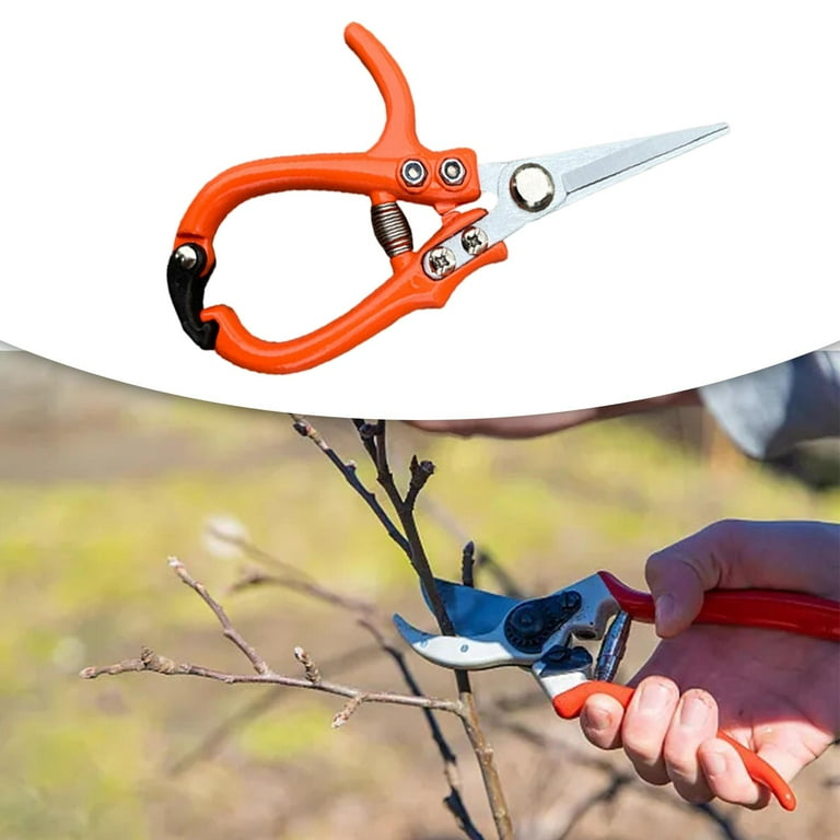 Garden Shear Bonsai Cutter for Indoor House Plants Garden Scissors Precise  Cuts Garden Comfortable Grip Multifunctional Pruners straight blade -  Walmart.com