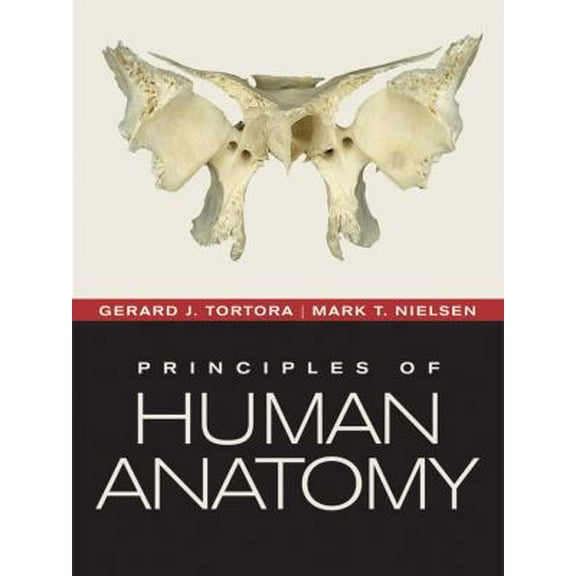 Pre-Owned Principles of Human Anatomy (Hardcover) 0470567058 9780470567050