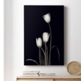thumbnail image 6 of Tulip Pose III Premium Gallery Wrapped Canvas - Ready to Hang, 6 of 9