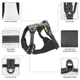 thumbnail image 6 of Lsque Lemons on Striped Dog Harness, No-Pull Pet Harness with 2 Leash Clips, Adjustable Soft Padded Dog Vest with Easy Control Handle for Large Dogs-Large, 6 of 9