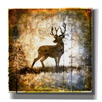 Epic Graffiti 'High Country Deer' by Lightbox Journal, Canvas Wall Art, 12"x12"