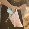 thumbnail image 2 of Tiny Twinkle - Wet Bag 2 Pack - Burgundy/Rose, 2 of 4