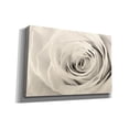 thumbnail image 2 of Epic Graffiti 'Cream Rose' by Lori Deiter, Canvas Wall Art, 60"x40", 2 of 8