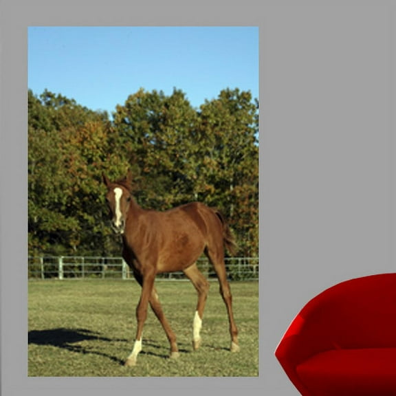 Wallhogs Horse X Wall Mural