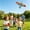 Green, variant on Outdoor Dynamic Wing Kite Portable Flying Toy with Rod and Line for Beach Park Garden Family Activities 11.8 inches