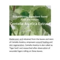thumbnail image 2 of mixsoon Soondy Centella Asiatica Essence 100ml, 2 of 4