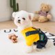 thumbnail image 5 of Abrigo - ropa para mascotas, perros, cachorros - amarillo - talla S ER, 5 of 5