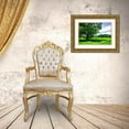 thumbnail image 3 of Hausenflock, Alan 32x23 Gold Ornate Wood Framed with Double Matting Museum Art Print Titled - Rappahannock County II, 3 of 4