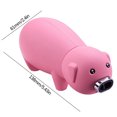 thumbnail image 3 of CEHVOM Oversized Snot Double Fire Lighter Direct Injection Flameproof Outdoor Barbecue Kitchen Baking Lighter, 3 of 6